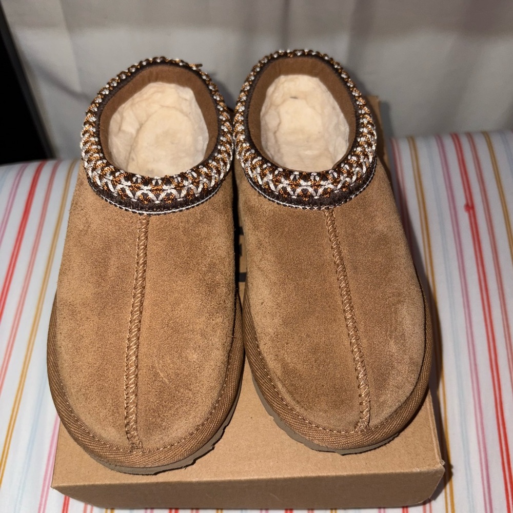 Toddler chestnut Tasman